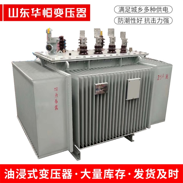 S13-10000/35林州林州林州电力变压器厂家