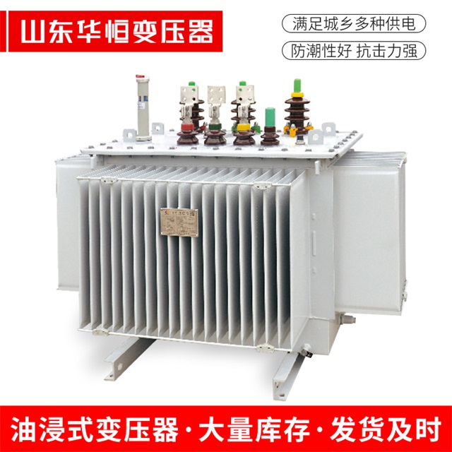 S13-10000/35林州林州林州电力变压器